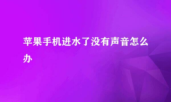 苹果手机进水了没有声音怎么办