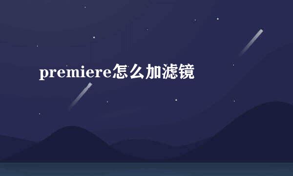premiere怎么加滤镜