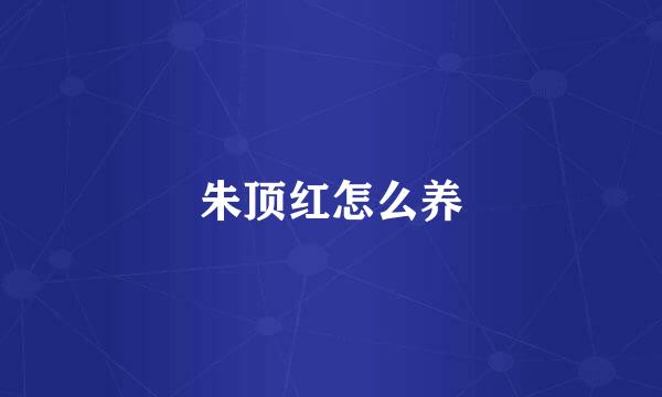 朱顶红怎么养