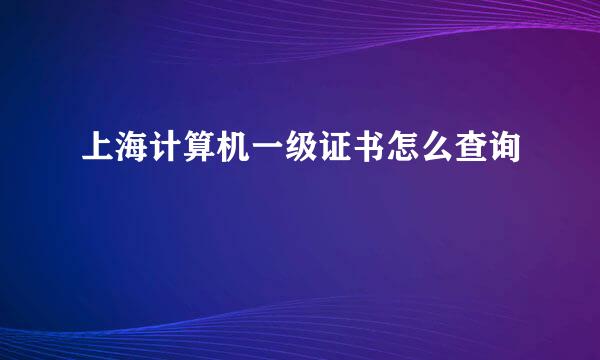 上海计算机一级证书怎么查询