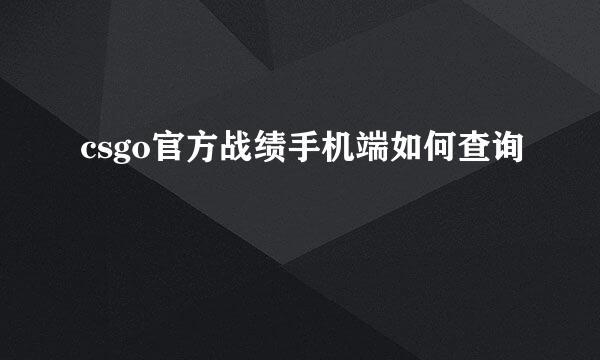 csgo官方战绩手机端如何查询