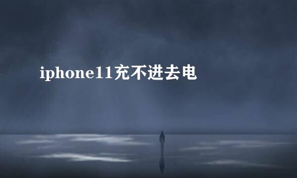 iphone11充不进去电