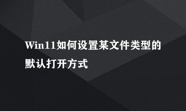Win11如何设置某文件类型的默认打开方式