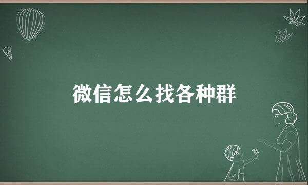 微信怎么找各种群