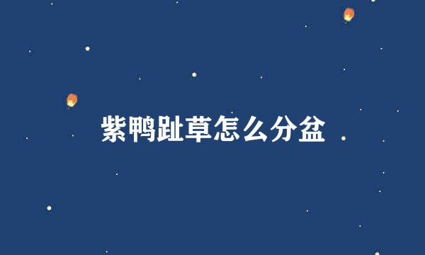 紫鸭趾草怎么分盆