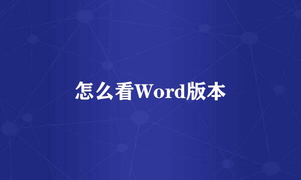 怎么看Word版本