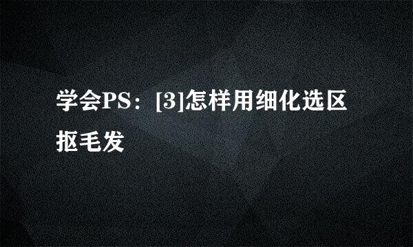 学会PS：[3]怎样用细化选区抠毛发