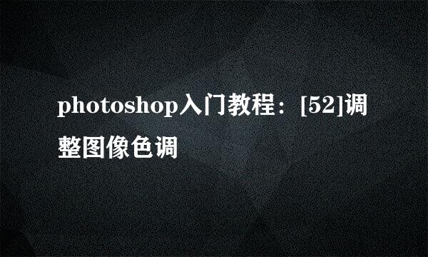 photoshop入门教程：[52]调整图像色调