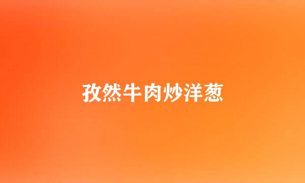 孜然牛肉炒洋葱