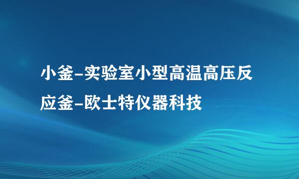 小釜-实验室小型高温高压反应釜-欧士特仪器科技