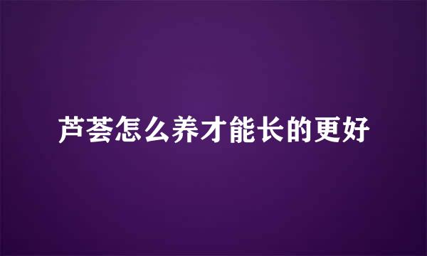 芦荟怎么养才能长的更好