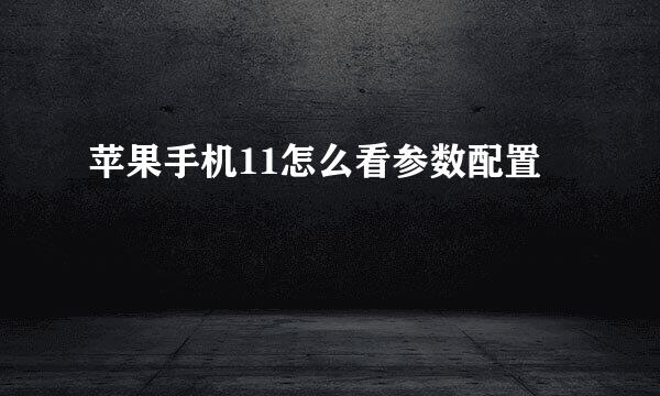 苹果手机11怎么看参数配置