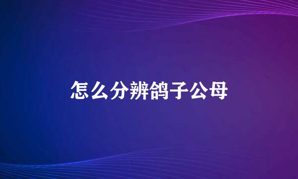 怎么分辨鸽子公母