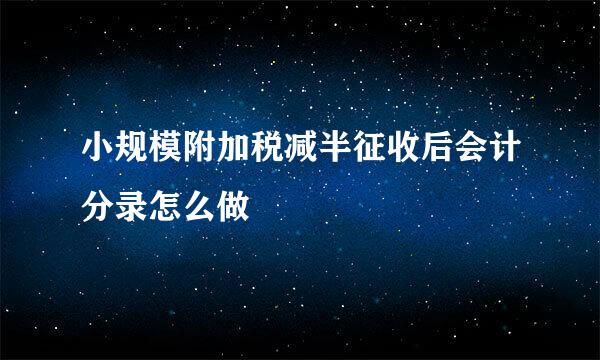 小规模附加税减半征收后会计分录怎么做