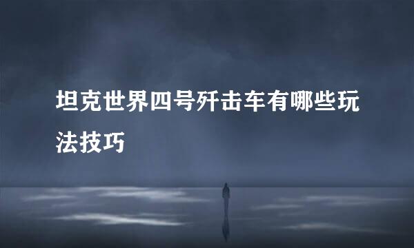 坦克世界四号歼击车有哪些玩法技巧