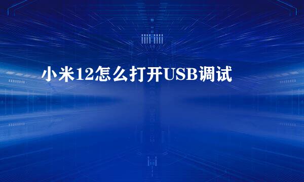 小米12怎么打开USB调试