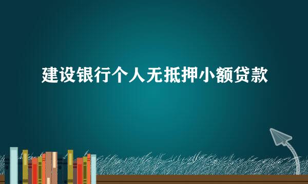 建设银行个人无抵押小额贷款