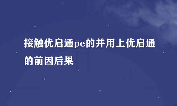 接触优启通pe的并用上优启通的前因后果