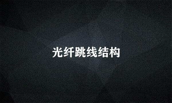 光纤跳线结构