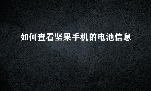 如何查看坚果手机的电池信息