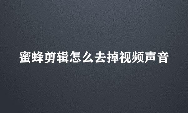 蜜蜂剪辑怎么去掉视频声音