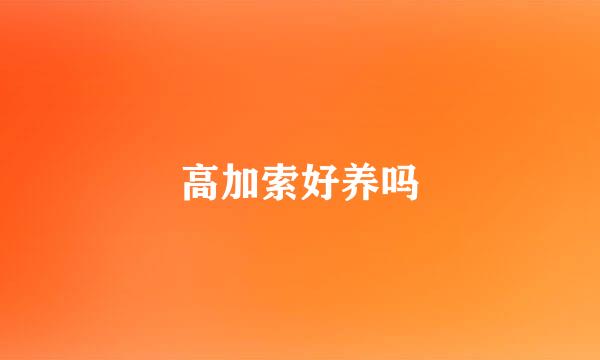 高加索好养吗