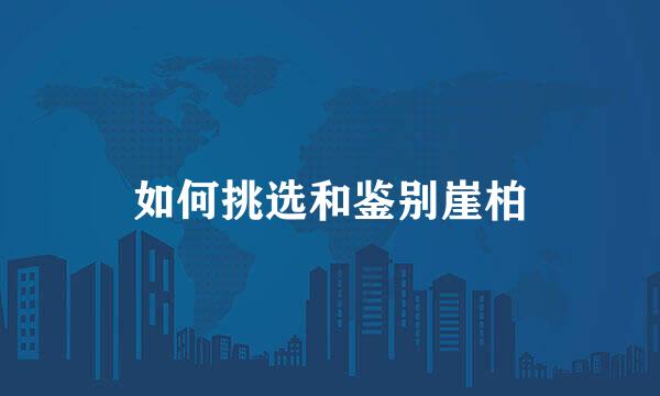 如何挑选和鉴别崖柏