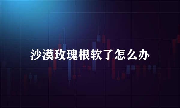 沙漠玫瑰根软了怎么办