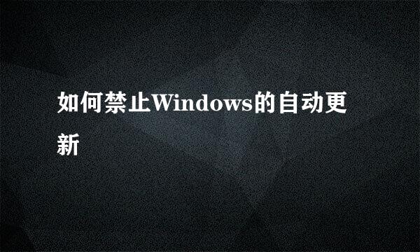 如何禁止Windows的自动更新
