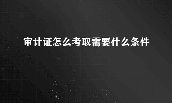 审计证怎么考取需要什么条件