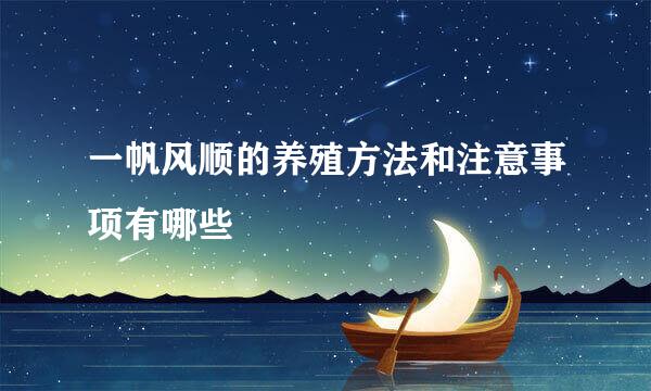 一帆风顺的养殖方法和注意事项有哪些