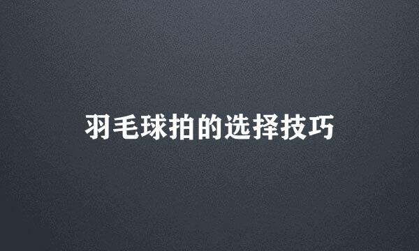 羽毛球拍的选择技巧