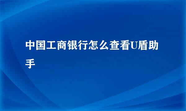中国工商银行怎么查看U盾助手