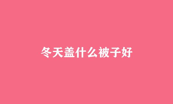 冬天盖什么被子好