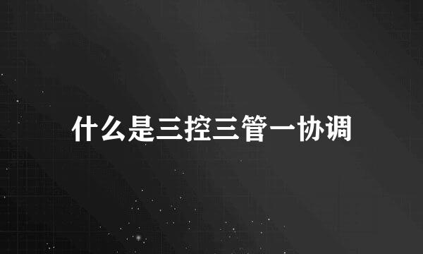 什么是三控三管一协调