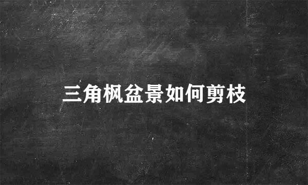 三角枫盆景如何剪枝