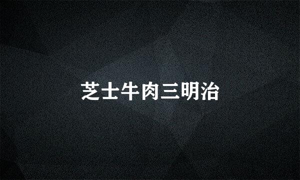 芝士牛肉三明治