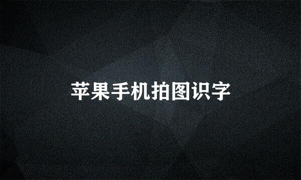 苹果手机拍图识字