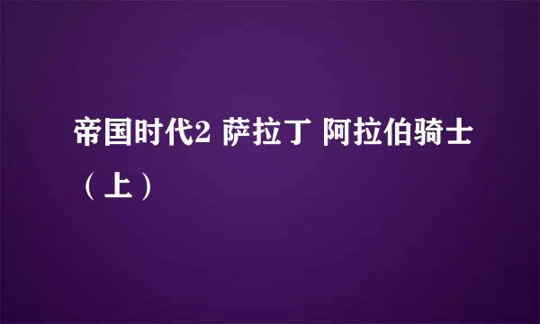 帝国时代2 萨拉丁 阿拉伯骑士（上）