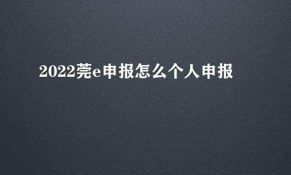 2022莞e申报怎么个人申报