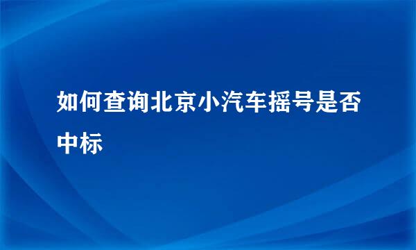 如何查询北京小汽车摇号是否中标