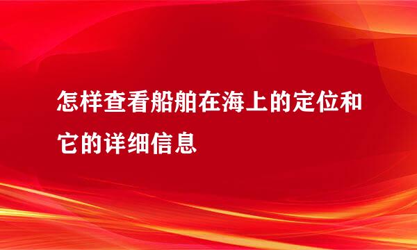 怎样查看船舶在海上的定位和它的详细信息