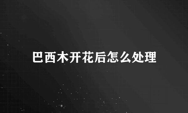 巴西木开花后怎么处理
