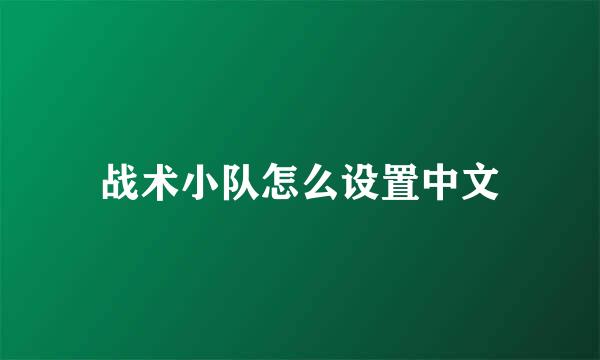 战术小队怎么设置中文