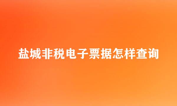 盐城非税电子票据怎样查询