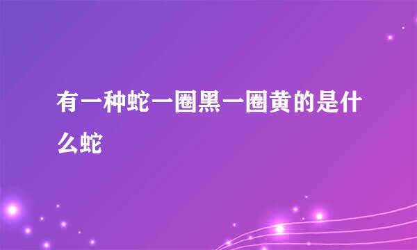 有一种蛇一圈黑一圈黄的是什么蛇