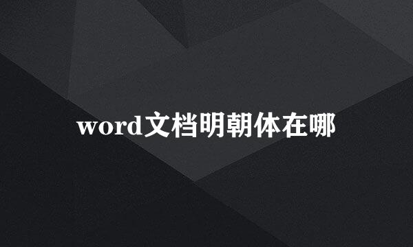 word文档明朝体在哪