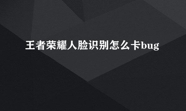 王者荣耀人脸识别怎么卡bug