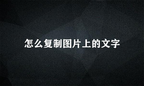 怎么复制图片上的文字