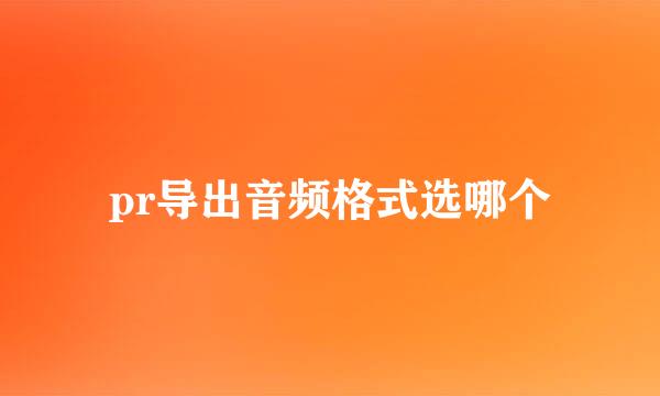 pr导出音频格式选哪个